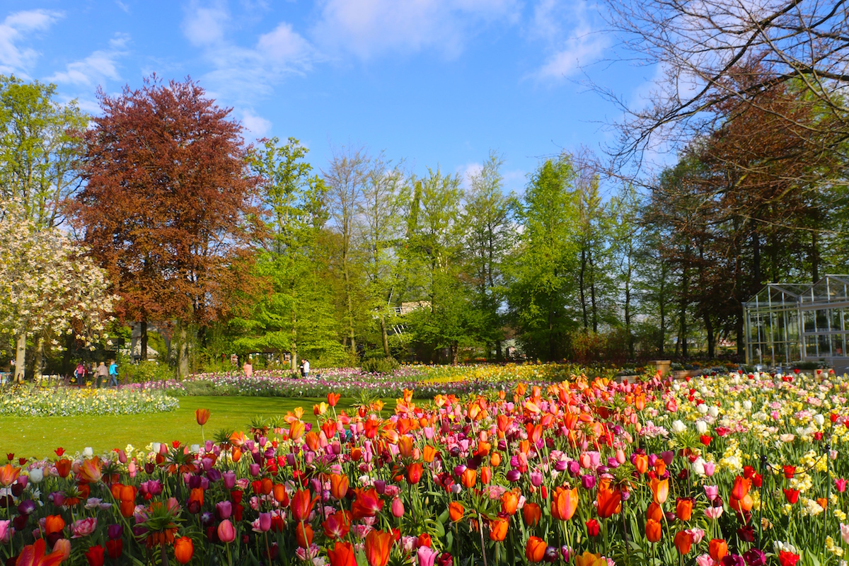 A Sea of Flowers in the Keukenhof Garden | Camila Coelho