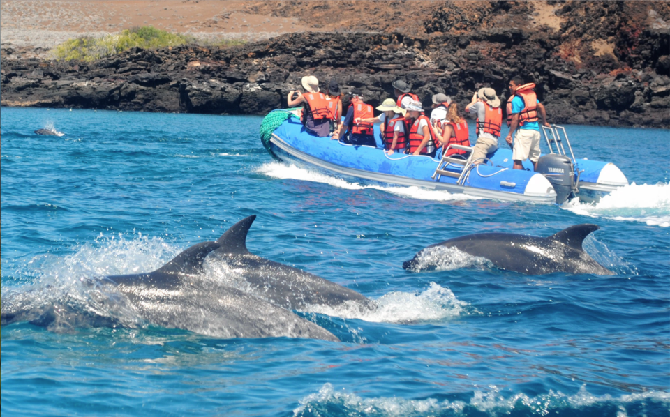 YACHT LA PINTA PARA NAVEGAR EM GALÁPAGOS Camila Coelho